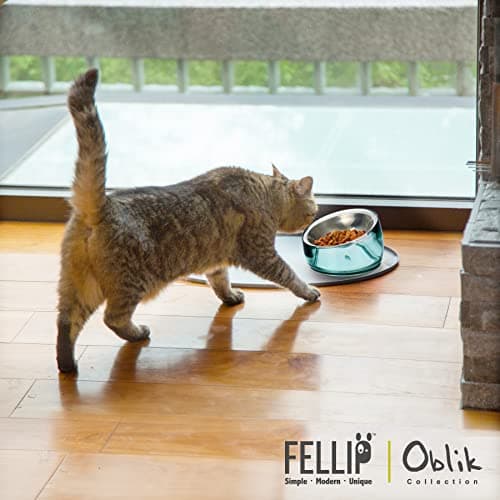 Felli Oblik Elevated Cat Bowl Removable Stainless Steel Wide Dish for Dry Wet Food Feeding & Dishwasher Clean, Slanted Whisker Fatigue Friendly Metal Plate (Classic, 0.5 Cups Shallow Dish) 9