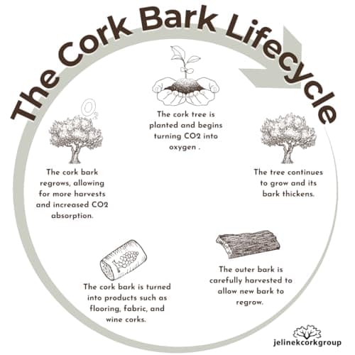 Jelinek Cork Decorative Veneer Bulletin Board 20 x 15 inch 8