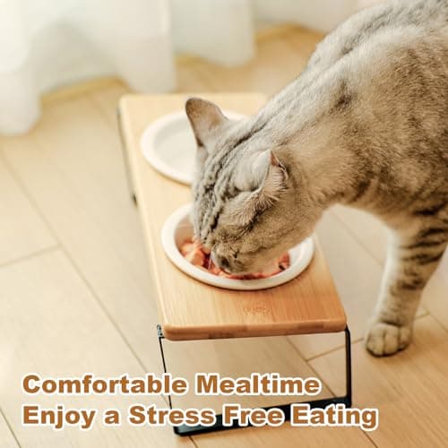 SUNQEBO Elevated Cat Bowls, 15° Raised Cat Bowls for Indoor Cats Food and Water, Slanted Tilted Ceramic Puppy Dishes with Stand Anti Vomiting Feeding Station Whisker Friendly(1 Set 2 Bowls Log Color) 6