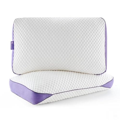 HOMELAB Adjustable Shredded Memory Foam Pillows Queen Size, Cooling Bed Pillows for Sleeping with Removable Cover, Medium Pillows for Side Stomach & Back Sleepers, 2 Packs 20"x28"