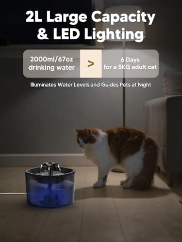 Automatic Cat Feeder and Water Fountain, 4L/16 Cups Timed Cat Dry Food Dispenser, 10s Meal Call, 20 Portions 6 Meals Per Day, 2L Cats Fountains for Drinking with Filter, Pet Feeder for Dog Black 6