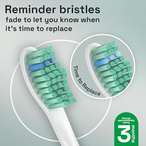 Brushmo e-Series Total Clean Replacement Toothbrush Heads, Compatible with Philips Sonicare Screw-on Electric Toothbrush Handles, 6 Standard Heads, Medium Firm Dupont Bristles, BM726, White 6