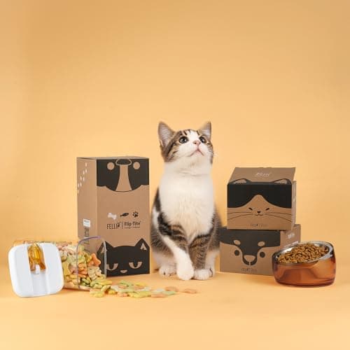 Felli Oblik Elevated Cat Bowl Removable Stainless Steel Wide Dish for Dry Wet Food Feeding & Dishwasher Clean, Slanted Whisker Fatigue Friendly Metal Plate (Classic, 0.5 Cups Shallow Dish) 7