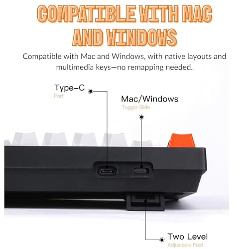 Keychron C2 Full Size 104 Keys Wired Mechanical Gaming Keyboard for Mac Layout with Gateron G Pro Red Switch/White LED Backlight/Double Shot ABS Keycaps/USB C Computer Keyboard for Windows Laptop 7