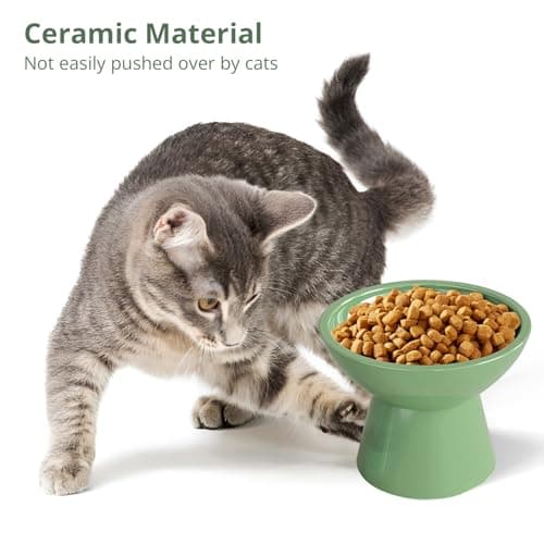 SUNQEBO Elevated Cat Bowls, Raised Cat Bowl for Indoor Cats, Set of 2 Prevent Whisker Fatigue Pet Food Water Small Dog Feeding Bowl, Anti Vomiting Protect Kitty Spine (Ceramic, Light Green) 6