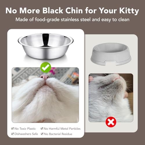 Smartoo Stainless Steel Elevated Cat Bowls - 15 Raised, Anti Vomiting, Dishwasher Safe 5