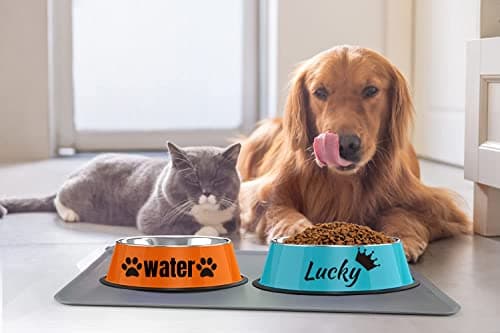 Personalized Name for Cat Dog Stainless Steel Colored Pet Puppy Cat Bowl Non-Slip Durable Pet Bowl Feeder Feeding Dog Water Bowl 5
