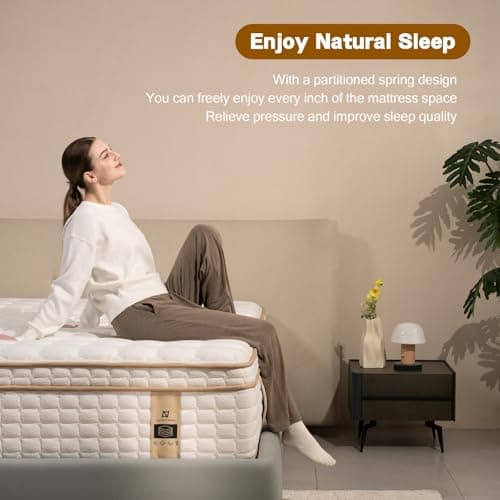 AN Adamant Noyau 12 Inch Queen Size Mattresses in a Box,Memory Foam Hybrid Mattress,with Individual Pocket Spring for Motion Isolation & Silent Sleep&Lumbar Support & Pressure Relief, Firm 6