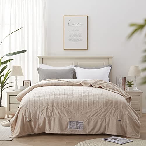 Westinghouse Electric Blanket Queen Size, Super Cozy Soft Flannel 84"" x 90"" Heated Blanket with 10 Fast Heating Levels & 1-12 Auto-Off, Machine Washable, ETL&FCC Certification, Beige 8