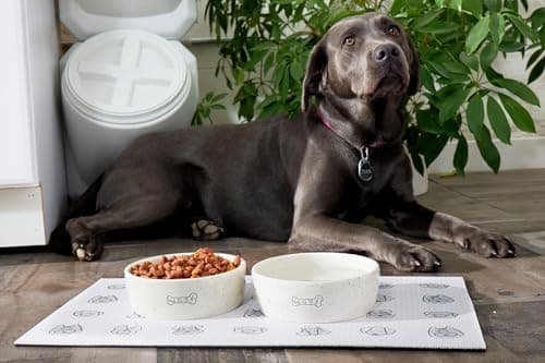 Pearhead Ceramic Dog Bowl – “Woof” Speckled Pet Food & Water Dish, Durable Stoneware, Non-Slip Heavy Base, 20 oz, Medium 6