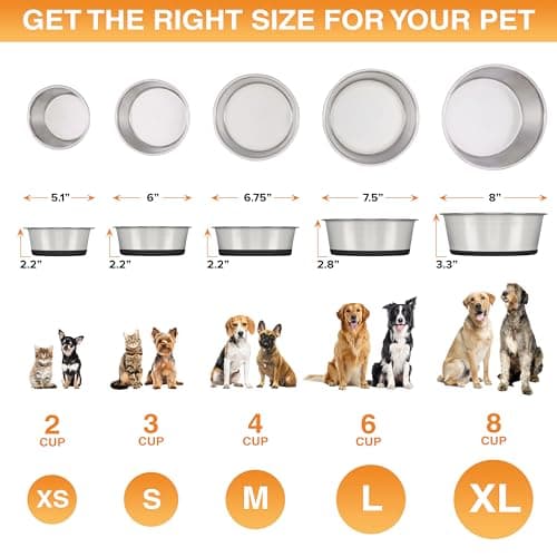 Neater Pet Brands Stainless Steel Dog Bowls with Non-Slip Rubber Bottom – 2 Cup (16 oz), Black - Set of 2 Heavy Duty Metal Dog Bowls, Dishwasher Safe, Food or Water Bowl, Ideal for Small Dogs & Cats 5