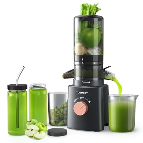 Cold Press Juicer with 8 Juice Bottles - Masticating Juicer Machines for Fruits and Veggies, 4.25" Large Feed Chute, Easy to Clean, Gun Grey