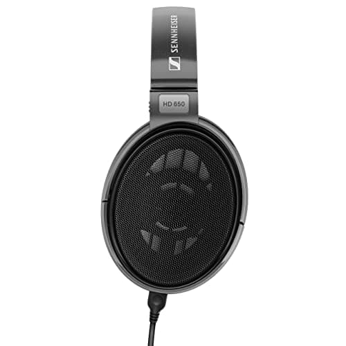 Sennheiser Consumer Audio HD 650 - Audiophile Hi-Res Open Back Dynamic Headphone, Titan 3