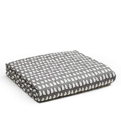 YnM Weighted Blanket — Heavy 100% Oeko-Tex Certified Cotton Material with Premium Glass Beads (Penguin, 36''x48'' 5lbs), Suit for One Person(~40lb) Use on Twin Bed
