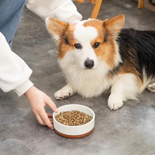 MALACASA Dog Bowls, Ceramic Dog Food and Water Bowls for Small Size Dogs, 1.5 Cups Capacity Pet Bowl for Puppy & Cats (S-1.5 Cups) 9