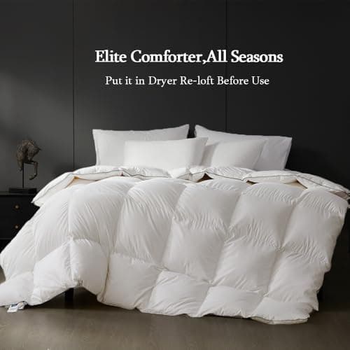 sleeprove Queen Size Down Comforter,Medium Weight All-Season Duvet Insert with 8 Loops,Luxury Noiseless Bedding Comforter,White,90"x90" 7