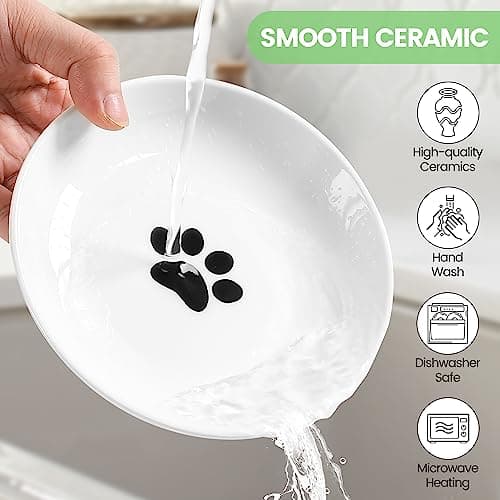 Kitwinney Ceramic Cat Bowls, 2 Pack - Raised, Whisker Friendly, Anti-Vomiting Cat Food Plates - Hygienic, Secure Material, Elegant Stand, 10 oz, for Indoor Cats & Kittens 5