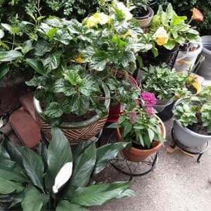 Autopromake 5 Pack Metal Plant Stands,Heavy Duty Potted Holder for Flower Pot,Indoor Outdoor Metal Rustproof Iron Garden Container Round Supports Rack for Planter 9