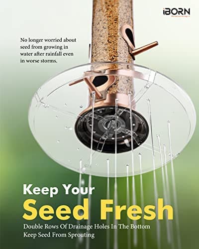iBorn Bird Feeders Seed Catcher for Outside Hanging 6 Port Bird Feeder for Cardinal Birds Aluminium Metal,Brushed Copper Finishing 14 Inch 6 Port (Seed is not Included) 7