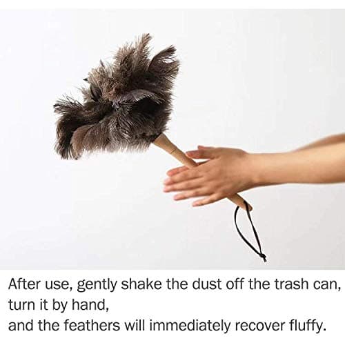 Feather Dusters for Cleaning, Feather Duster Ddzmz Fluffy Natural Genuine Ostrich Feathers and Reusable Wooden Long Handle Large Ostrich Feather Duster Cleaning for Housewife Brown Length 24" 1Pack 5
