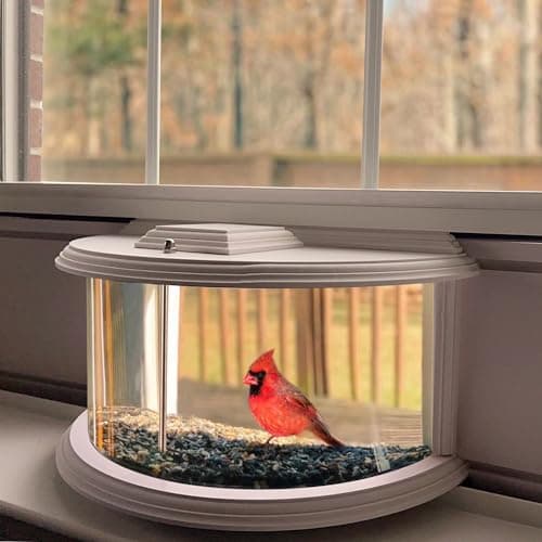 BAIAPEY in Window Bird Feeders for Viewing - 180° Clear View Bird Feeder, Durable, Elegant, Fits Windows 27-35" Wide, for Bird Watching-Bring Joy to Your Home