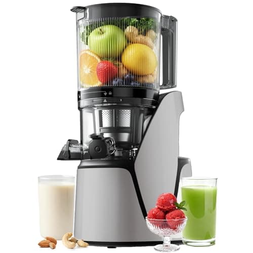 EanOruus Juicer Machines, 3-in-1 Cold Press Juicer with 6.5" Extra Large Chute, 100oz Large Capacity, AC Motor, Makes Juice, Nut Milk & Sorbet, Silver Gray