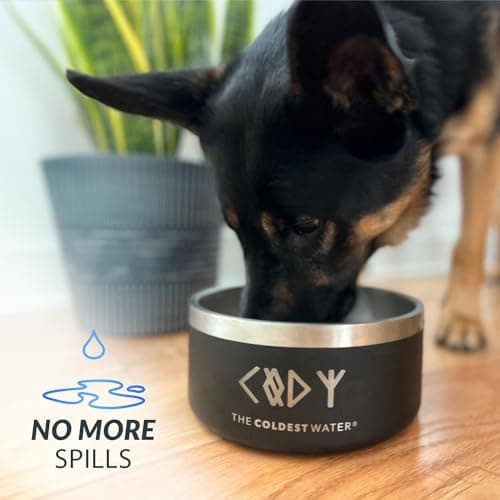 Coldest Dog Bowl - Anti Rust Metal, Non Slip, 3 Layers Insulated Stainless Steel Dog Bowls - Spill Proof & Heavy Duty - Water Bowl for Dogs, Cats, Dish Washer Safe (21 oz, Polished Stainless Steel) 6