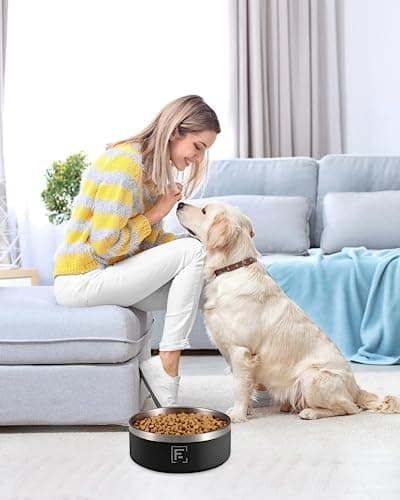 Dog Bowl - 32oz Insulated Dog Food Water Bowl Non Slip, Double Wall Stainless Steel Dog Bowls 4 Cup for Medium Large Breeds, Indoor Outdoor Metal Dog Bowl, Durable Pet Dish for Puppy Dogs Cats 5