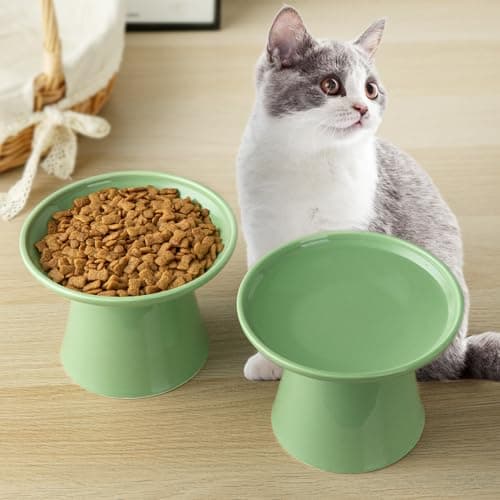 KITCHENLESTAR 6.2 Inch Extra Wide Elevated Ceramic Cat Bowls, Food and Water Bowl Set for Elder Big Cats Small Dogs, Raised Design for Pet Easy Eating, Protect Cat's Spine Set of 2(Light Green) 5