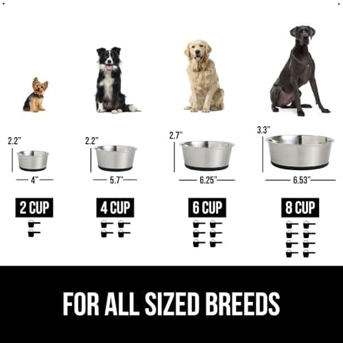 GORILLA GRIP Set of 2 Dog Bowls, Food Grade Metal Food and Water Bowl for Feeding Dogs and Cats, Dishwasher Safe, Rust Resistant Stainless Steel, BPA Free Rubber Base, Holds 3 Cups (24 fl oz), Black 6