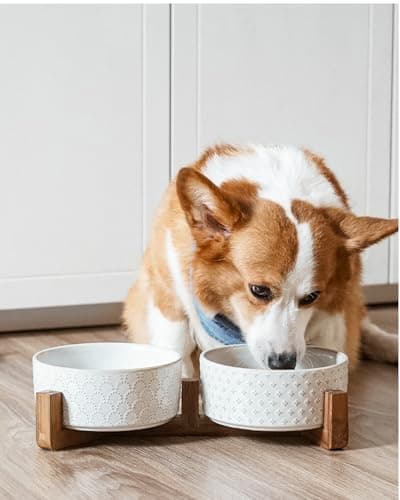 LE TAUCI Dog Bowl Set with Acacia Wood Stand - 1.5-Cup Ceramic Puppy Bowls for Small Dogs, Dual Food and Water Bowls with Weighted Non-Slip Base 9