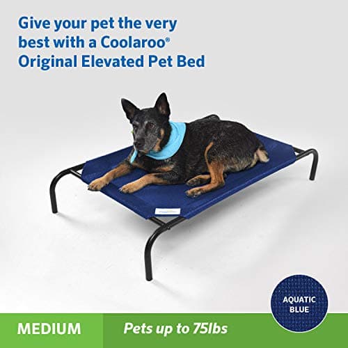 Coolaroo Original Elevated Dog Bed - Breathable Off-The-Ground Pet Bed with Cooling Fabric, Joint Relief & Moisture-Resistant Fabric, 100% Recyclable, Easy Clean, Aquatic Blue, Medium 2