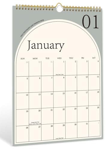 Aesthetic 2024-2025 Wall Calendar - Runs From Now to June 2025, The Perfect Monthly Modern Hanging Calendar, Thick Paper, Perfect for Monthly Organizing & Planning, 10"×14.7"