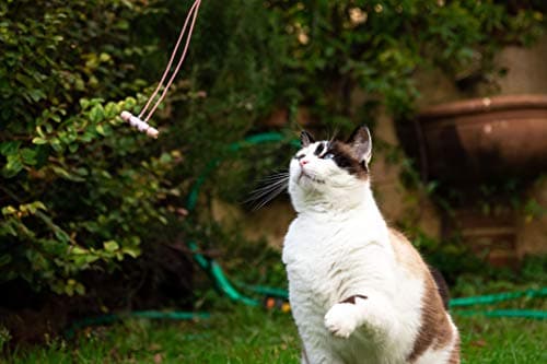 LUDOS Ultra Wired Earbuds in-Ear Headphones, 5 Years Warranty, Earphones with Microphone, Noise Isolating Ear Buds, Memory Foam for iPhone, Samsung, School Students, Kids, Women, Small Ears - Pink 5