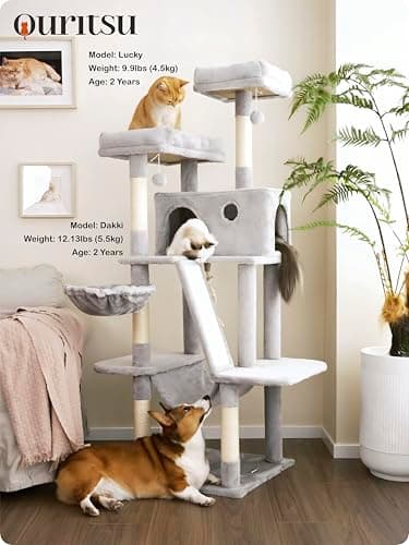 Ouritsu Cat Tree, 61 inch Tall Cat Tower for Large Cat Indoor, Enlarged Condo, 2 Padded Perches with 1 Widened, Large Hammock, Scratching Post and ramp, Fluffy Basket, Light Gray, LF002GA 7