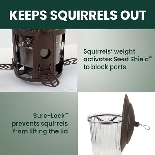 Perky-Pet 334-1SR Squirrel-Be-Gone Max Large Wild Bird Feeder with Flexports, Squirrel Proof Bird Feeder with Weight-Activated Perches - 4LB Seed Capacity 5