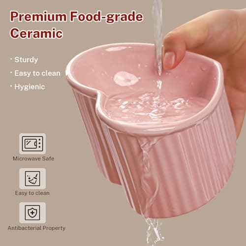 SUNQEBO Elevated Cat Bowls, Raised Cat Bowl for Indoor Cats, Cute Heart Ceramic Tilted Puppy Food Set Supplies Whisker Friendly Anti Vomit, 2 Pack Pink+ Light Green 5