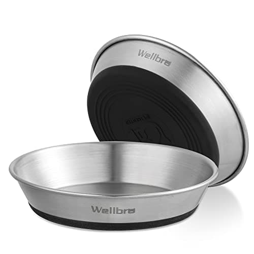 Wellbro Cat Bowls, 2 Pcs Stainless Steel Cat Bowls for Food and Water, Whisker Fatigue Shallow Non-Slip Dishes Plates for Small Dog Puppies Cats