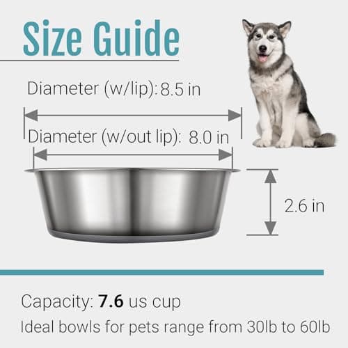 PEGYY11 Nonslip Stainless Steel Dog Bowls, 7.6 US Cup, 2 Count 5