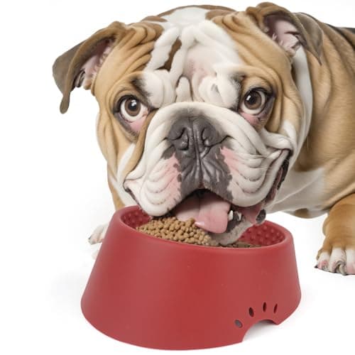 MCHXN Pet Dog Food Bowl 10° Slanted ，Silicone Material， Easy to Clean Non-Skid & Non-Spill Easier to Reach Food L/2.5 Cups Red 8