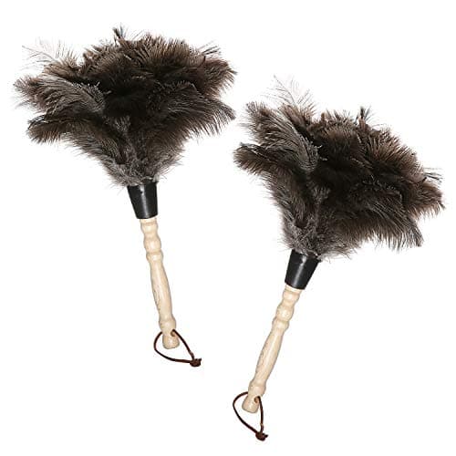 Midoneat Natural Gray Ostrich Feather Duster,2 Packs,Car Duster Interior/Exterior Cleaner, Cleaning for Blinds Kitchen Keyboard Office, Smart and Soft and Fluffy (Gray)