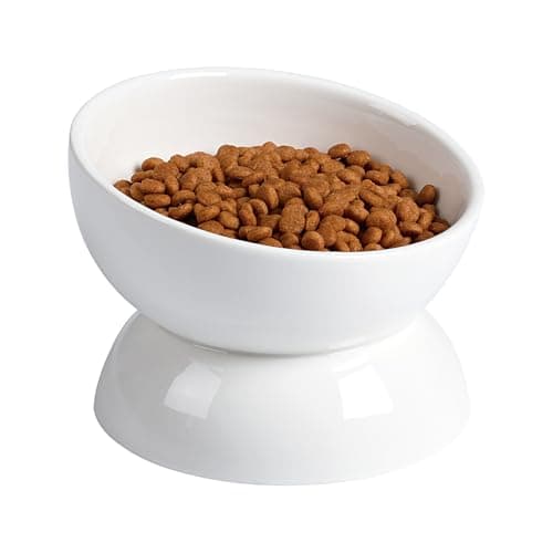 ABRUTY Cat Water Bowl, 16 OZ Ceramic Elevated Cat Bowls, 15° Tilted and Raised Pet Food Dish, Anti Vomiting Protect Pets' Spines and Whisker Fatigue