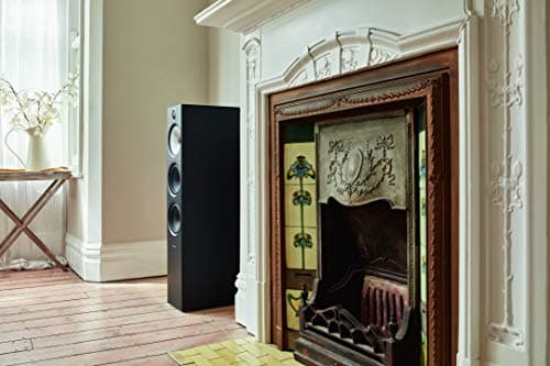 Bowers & Wilkins 603 S2 Anniversary Edition Floorstanding Speaker - Features Decoupled Double Dome Aluminum Tweeter, Continuum Cone FST Midrange, Dual Paper Cone Woofers, Includes Grille, Black 5