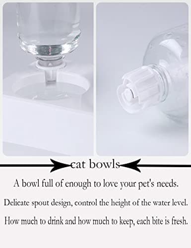 Marchul Cat Bowls, Pet Food Bowls, 15° Tilted Cat Bowl for Indoor Cats, Dog Food and Water Bowl Set 6