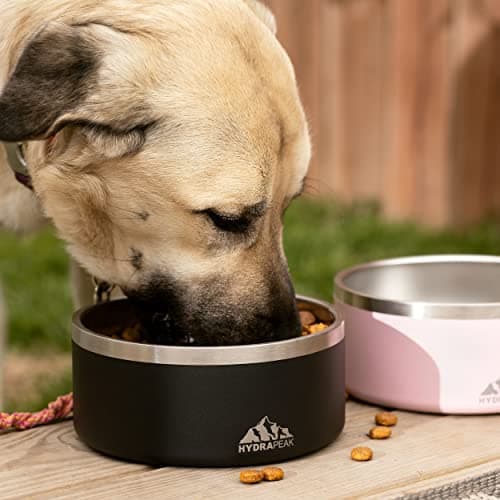Hydrapeak Dog Bowl; Non Slip Stainless Steel; Water and Food Dish; Large Sized and Small Dogs; 32oz 64oz; Multiple Sizes; 4 Cup | Graphite 6
