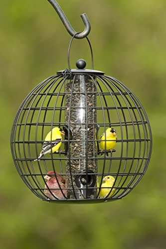 Gardener's Supply Company Globe Cage Bird Feeder | Outdoor Sturdy and Squirrel Proof Hanging Cage | Best for Finches Hummingbirds Nuthatches and Other Small Birds - Holds 3 Cups of Seeds 5