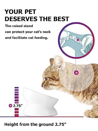 Y YHY Cat Bowl Anti Vomiting, Raised Food Bowls, Tilted Elevated Bowl, Ceramic Pet Food Bowl for Flat Faced Cats, Small Dogs, Protect Pet's Spine, Dishwasher Safe (5 Inches, White) 5