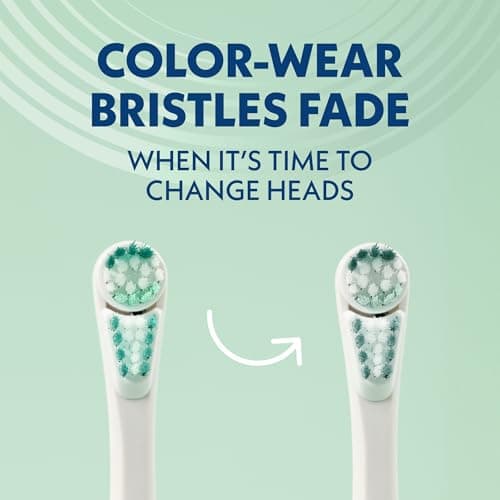 Spinbrush New PRO Clean Battery Powered Electric Toothbrush for Adults, Medium Bristles, Sage Green, 1 Count 7