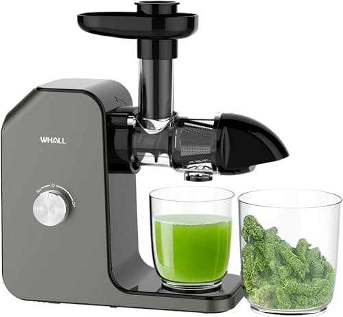 Slow Juicer