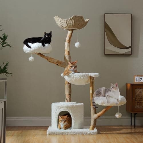 PAWZ Road Cat Tree for Indoor Cats Large Adults, 59 Inches Modern Cat Tower with Large Basket and Hammock, Natural Solid Wood, Luxury Condo & Dual Perches, Modern Cat Furniture for Big Cats, White